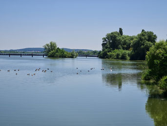 Altmühlsee