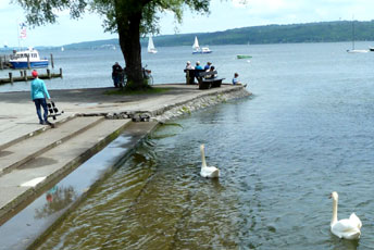 Ammersee