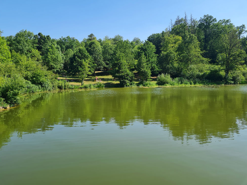 Aschbachsee - Badestelle Herrenzimmern