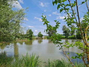 Badeweiher Binzwangen 