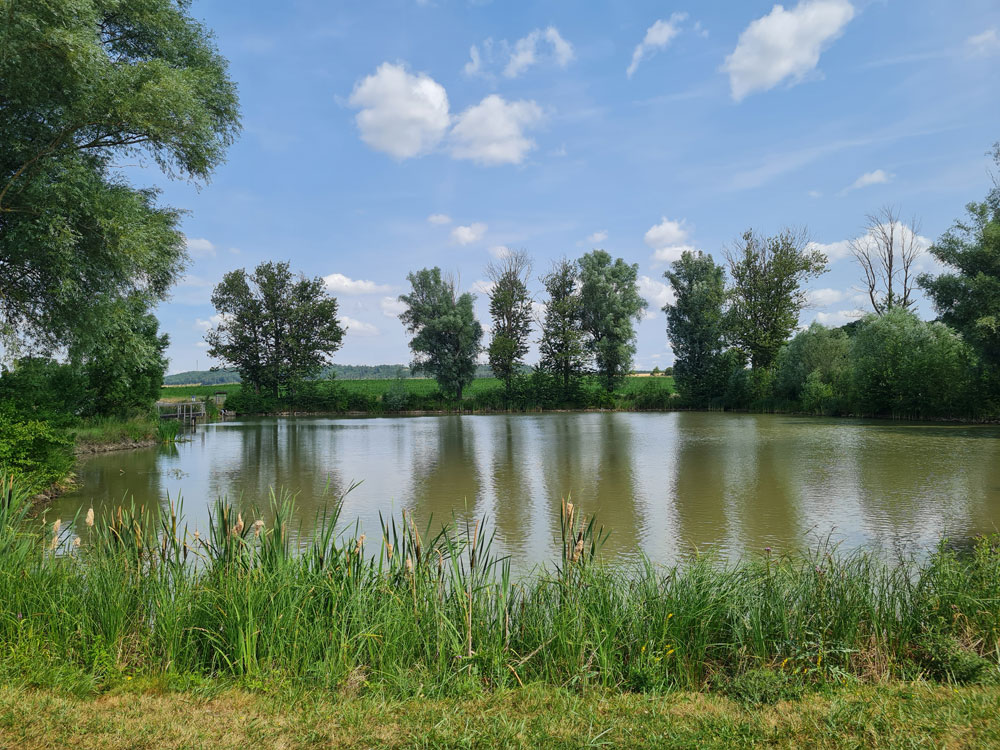 Badeweiher Binzwangen 