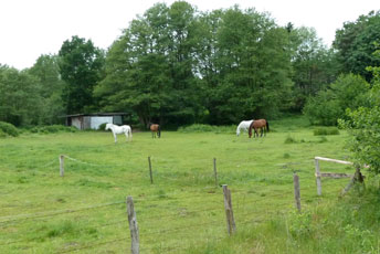 Radwege Schleswig Holstein