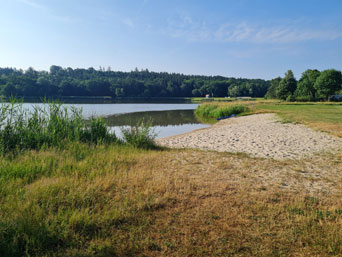 Dennenlohersee