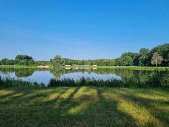 Dennenlohersee