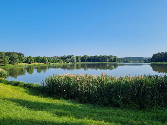 Dennenlohersee