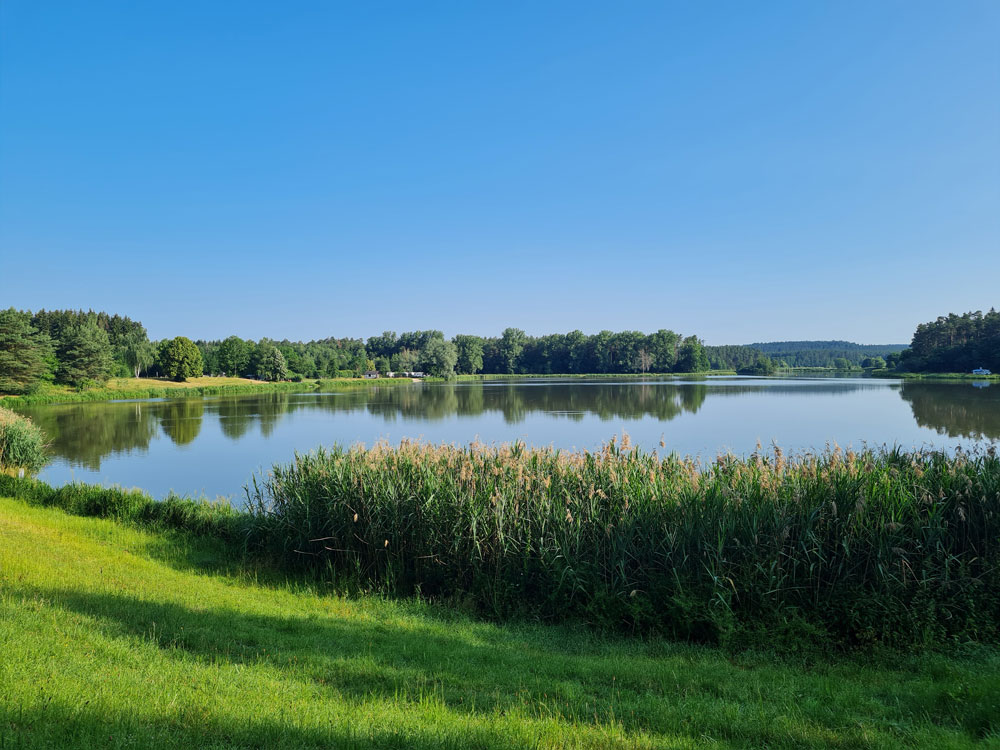 Dennenlohersee