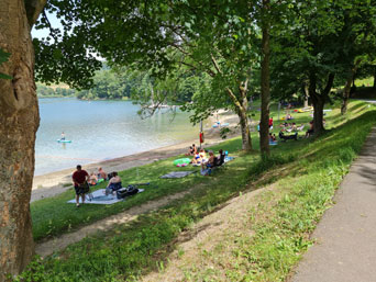 Radweg um den Hennesee 