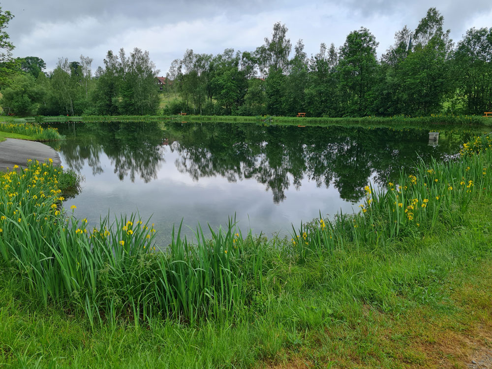 Naturbadesee Jandelsbrunn 