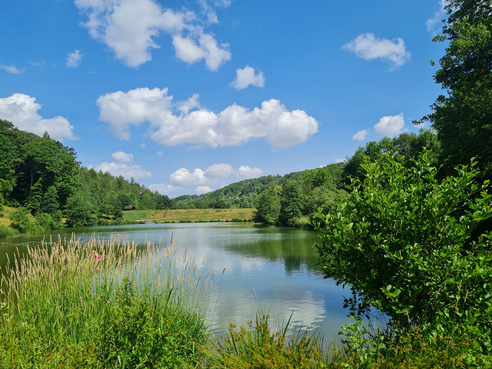 Münstersee