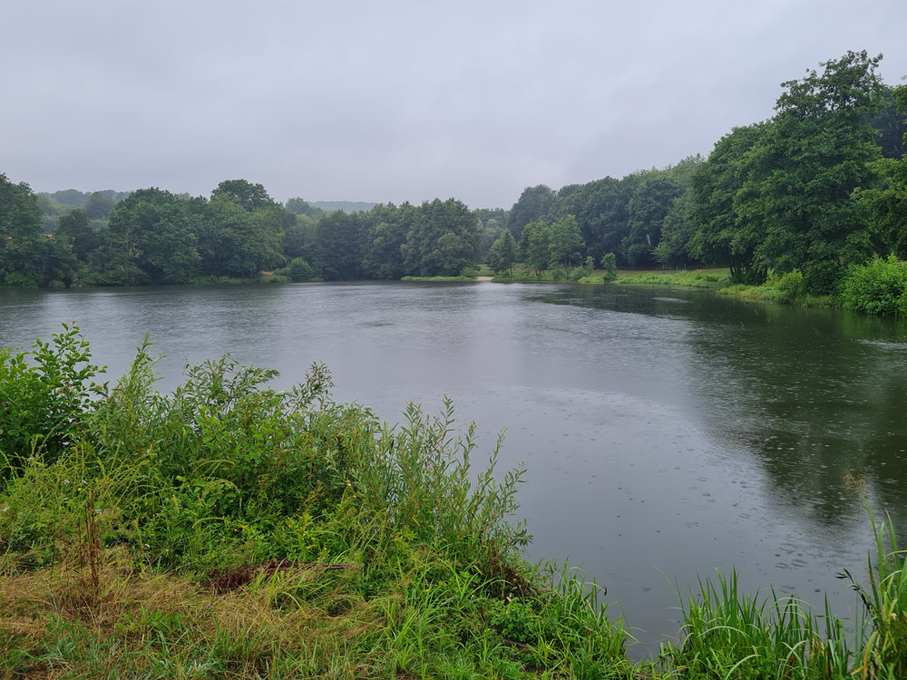 Waldsee Mengerskirchen 