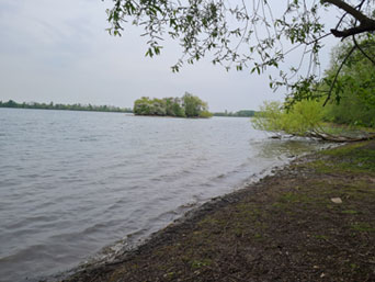 Zülpichersee